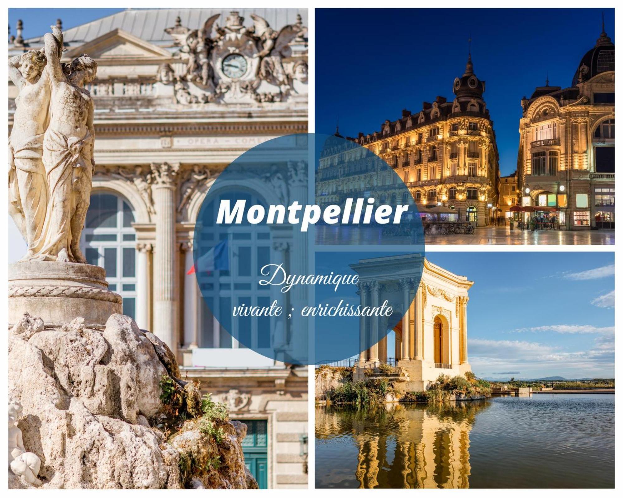 Reve Bleu Residence La Grande Pyramide Vue Port Hyper Centre Wifi Parking Prive Gratuit Exterior photo